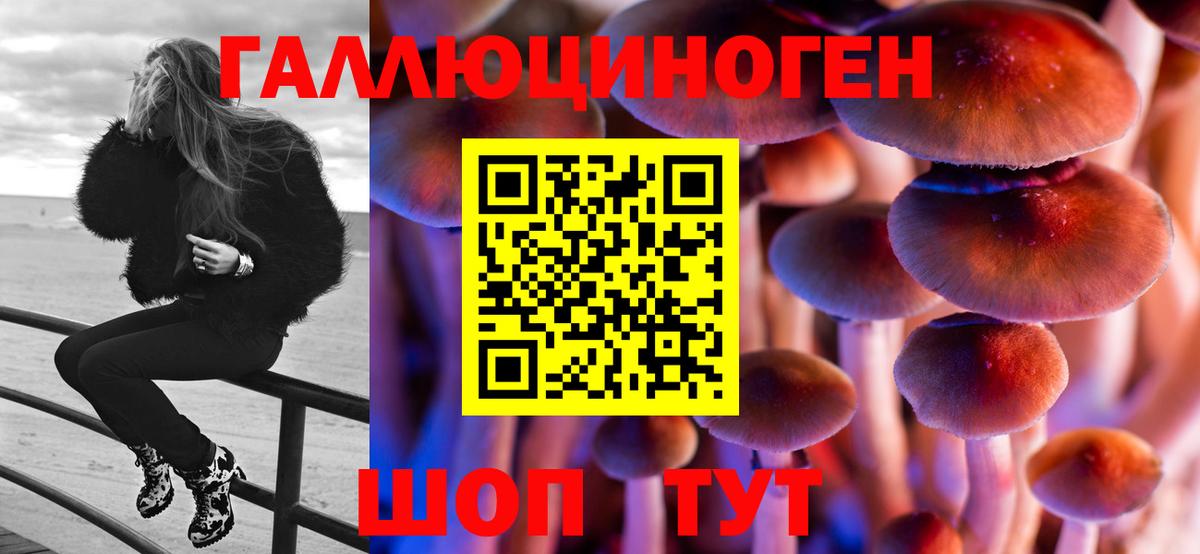 Отрадный  Псилоцибиновые грибы MAGIC MUSHROOMS  Вход с VPN 